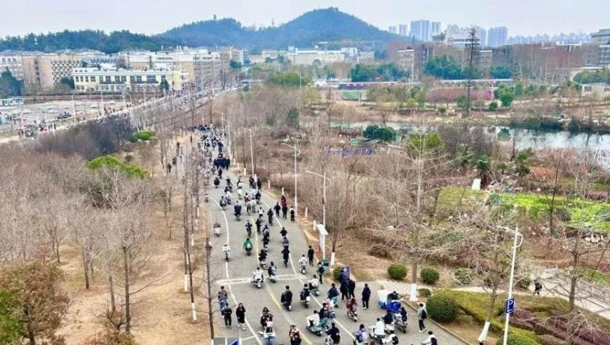 叶子楣：《哪吒2》表现力是世界级的,香港最准最快资料二四六蓝月亮开奖大全全年资料,经典解释落实_开发版V7.100