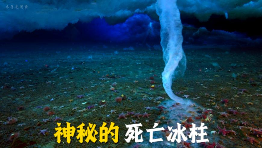 2025今晚开特马+开奖结果,法航母打击群40年来将首次部署亚太,机构预测与落实方法揭秘_GM版V15.27