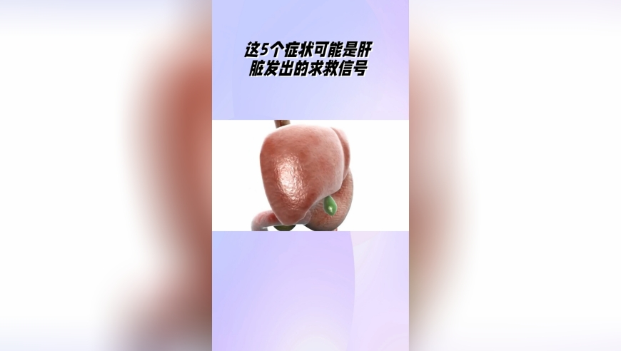 马云现身阿里巴巴杭州园区,澳门一肖一码一必中一肖搜视网,广泛的解释落实方法分析_手游版V3.10